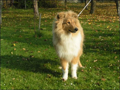 BARNEY 30.10.05