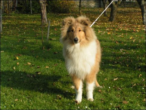 BARNEY 30.10.05