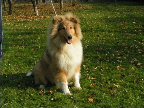 BARNEY 30.10.05