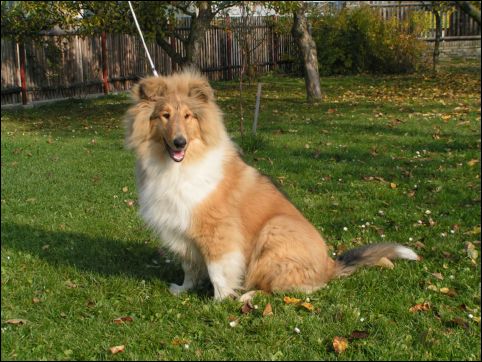 BARNEY 30.10.05