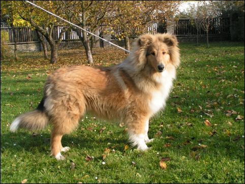 BARNEY 30.10.05