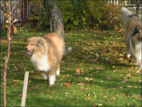BARNEY 30.10.05