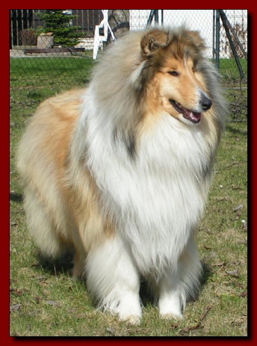 Barry 15.04.2006