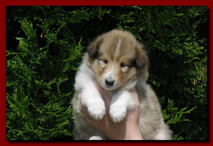 Barry 26.06.2005