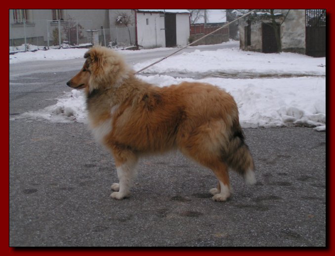 Barry 03.12.2006