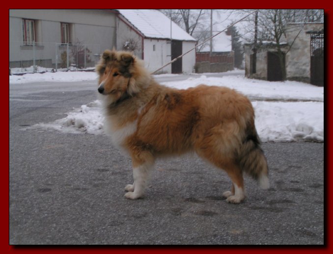 Barry 03.12.2006