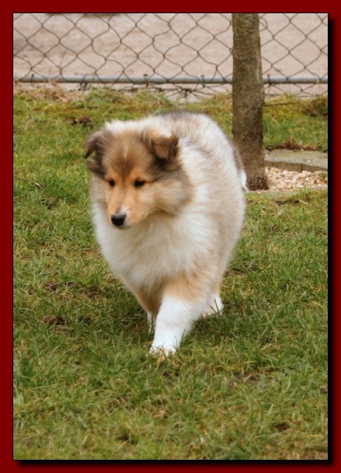 WINDIE - 16.02.2007